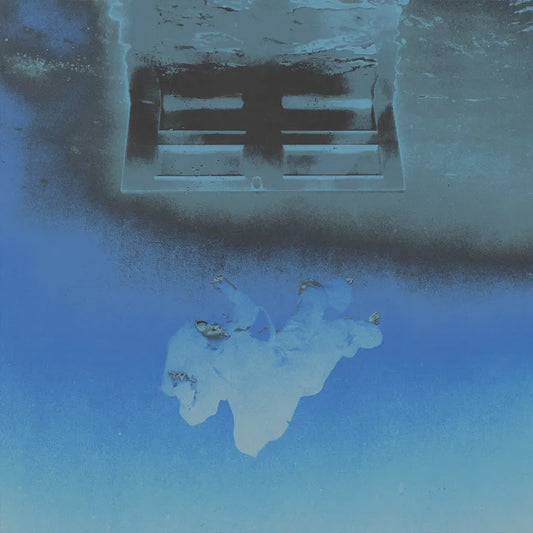 Billie Eilish - Hit Me Hard And Soft (isolated vocals) Vinyl