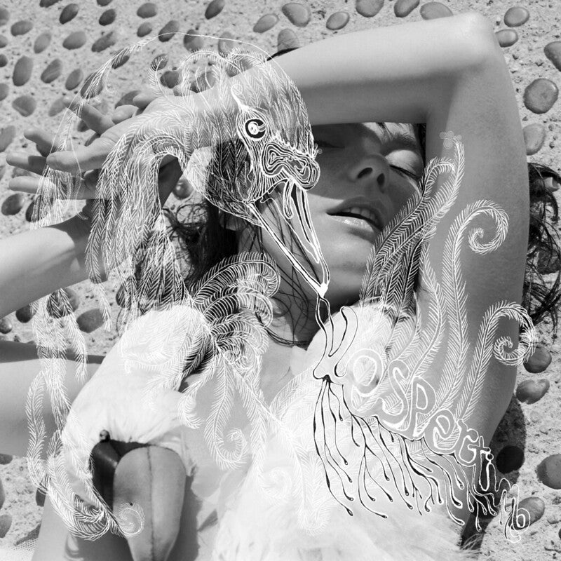Bjork - Vespertine Vinyl