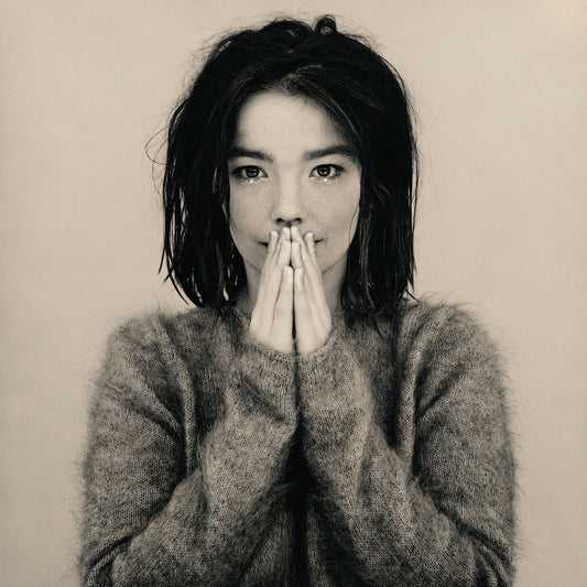Bjork - Debut Vinyl