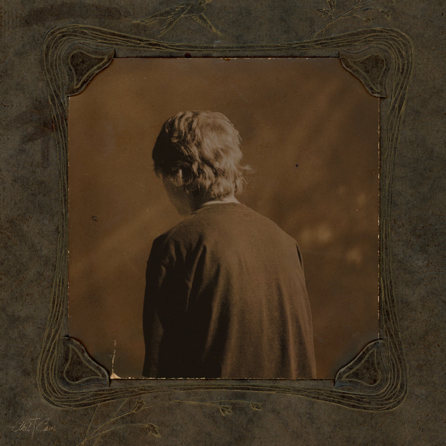 Ethel Cain - Willoughby Tucker, I'll Always Love You