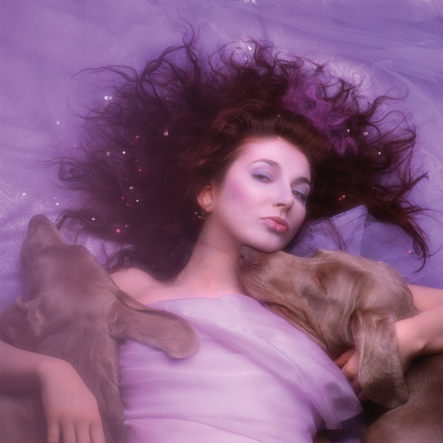 Kate Bush - Hounds Of Love Remastered CD